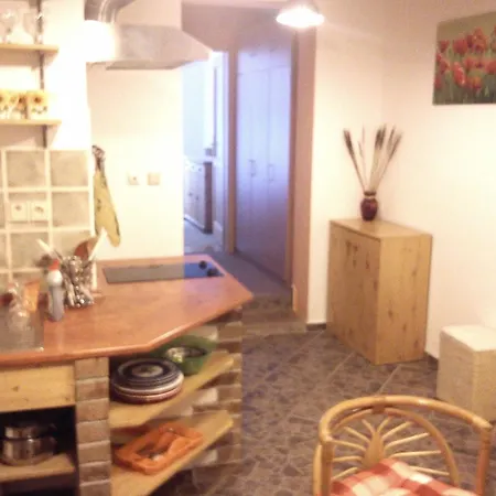 Apartment Apartman Tylova Karlovy Vary