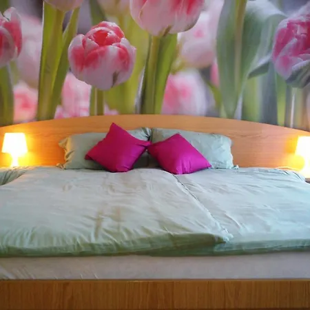Apartment Apartman Tylova Karlovy Vary