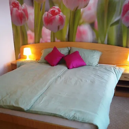 Apartman Tylova Karlovy Vary