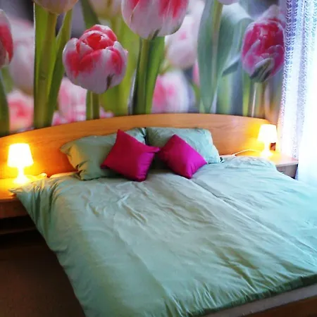 Apartman Tylova