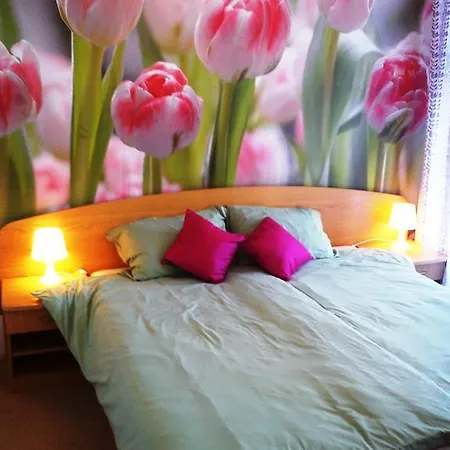 Apartman Tylova Karlovy Vary
